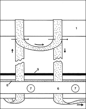 click for more detail click for more detail